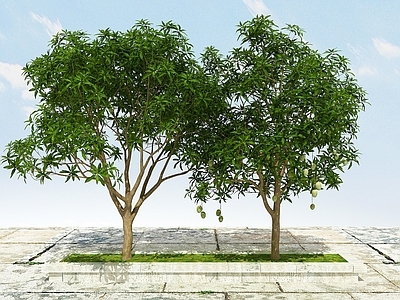 现代果树植物