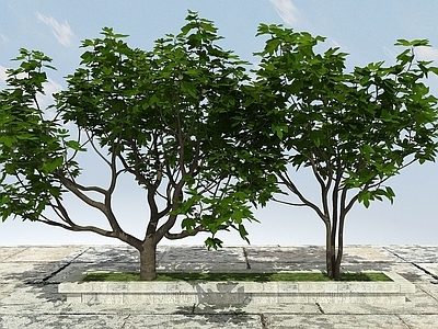 现代果树植物