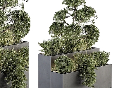 现代绿植花箱盆栽