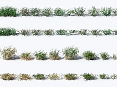 现代植物花草合集
