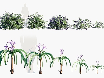 现代植物花卉