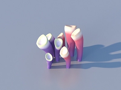 水生植物 珊瑚 水生植物