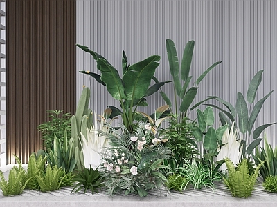 植物组合 植物组团 花镜 乔木灌木 树池植物组合 盆栽组合