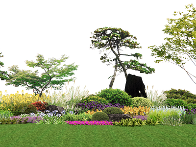 植物组合 树池植物组合 盆栽组合 松树 灌木乔木 花镜