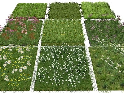 花草 花境 苔藓 草坪 花坛花草 盆栽花草