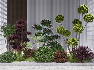 植物组合 树池植物组合 盆栽组合 花境 棒棒糖造型树 植物组团