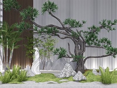 植物组合 树池植物组合 盆栽组合 造型松 花境 植物组团