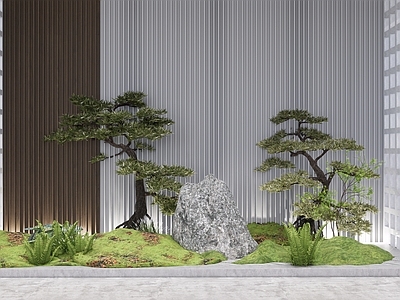 植物组合 树池植物组合 盆栽组合 植物组团 造型松 花境景石
