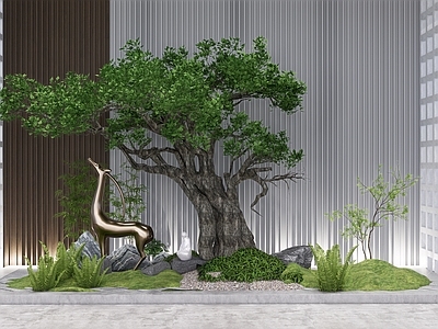 植物组合 树池植物组合 盆栽组合 造型松 花镜 植物组团