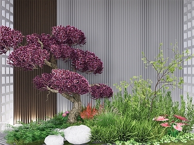 植物组合 树池植物组合 盆栽组合 造型树 红花檵木 花境组团