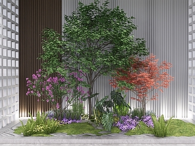 植物组合 树池植物组合 盆栽组合 植物组团 造型树 花境