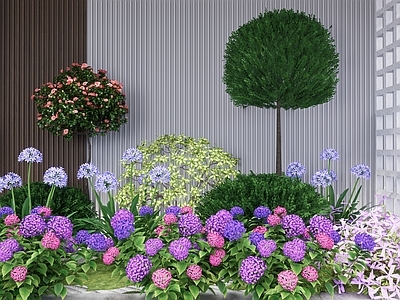 植物组合 树池植物组合 盆栽组合 棒棒糖造型树 花境植物组团