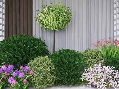 植物组合 盆栽组合 树池植物组合 植物组团 灌木球 花境植物组团