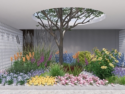 植物组合 花境 植物组团 造型树 树池植物组合 盆栽组合