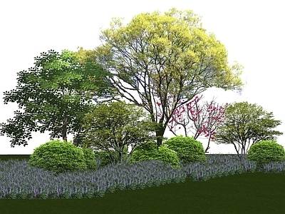 植物组合 树池植物组合 盆栽组合 花境 乔灌木