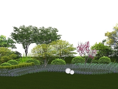 植物组合 树池植物组合 盆栽组合 乔灌木 植物组团 花境