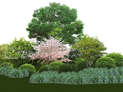 植物组合 树池植物组合 盆栽组合