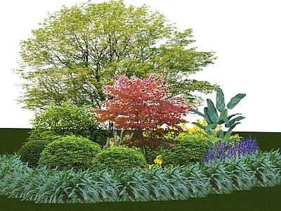 植物组合 花境 树池植物组合 盆栽组合