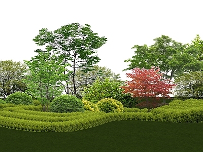 植物组合 树池植物组合 盆栽组合 灌木 草花 花境