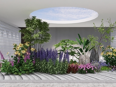 植物组合 树池植物组合 盆栽组合 花境 乔灌木 植物组团