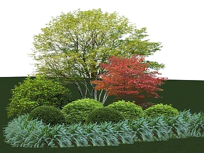 植物组合 树池植物组合 盆栽组合
