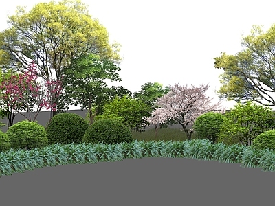 植物组合 树池植物组合 盆栽组合