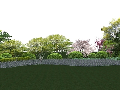 植物组合 树池植物组合 盆栽组合 植物组团 花境 兰花鼠尾草