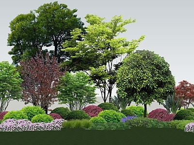 植物组合 树池植物组合 盆栽组合 植物组团 花境