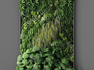 绿植墙 绿植墙