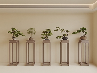 盆景 新中式盆栽盆景 松树盆景 花架 花几