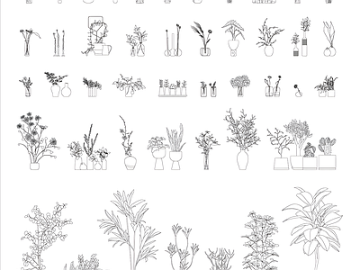 现代综合植物图库 植物盆栽 施工图