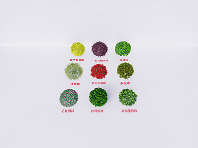 灌木 灌木球 灌木球合集 常见景观灌木 常用灌木球大全 盆栽灌木
