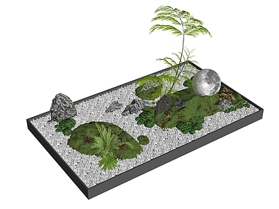 新中式日式微地形 苔藓造景 微地形 室内小品 金丝猴蕨