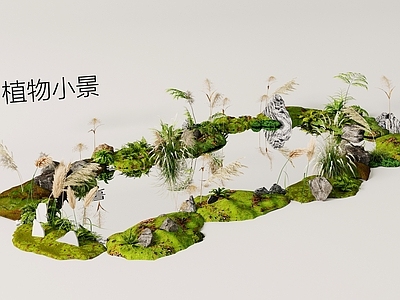 花草组合 植物造景 植物堆 花艺 小景