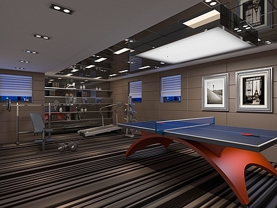 现代极简健身房 现代公共运动室 别墅运动会所 公共健身房 健身室