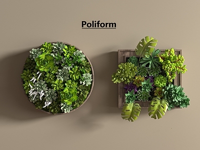 绿植墙
