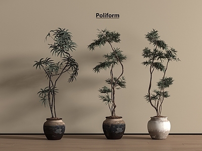 盆栽 盆栽 中古风盆栽 侘寂风盆栽 新中式盆栽 植物摆件
