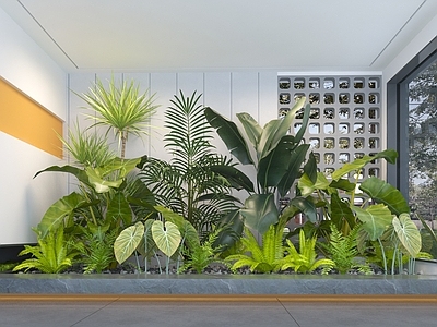 植物堆 现代庭院植物组合 灌木花草 户外植物景观