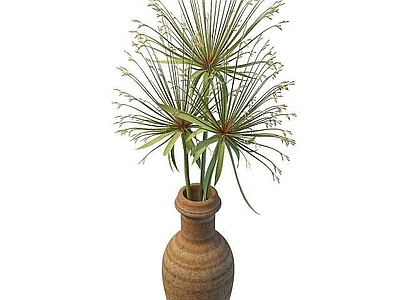 现代花瓶