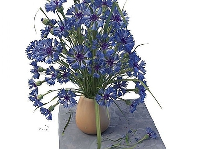 现代花瓶