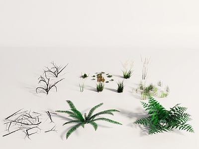 花草组合 植物 森林植物 灌木