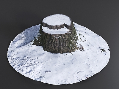 其他树木 树桩 树墩 枯木 雪地