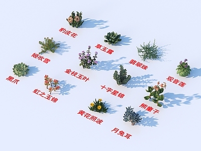 灌木 灌木花草 植物类