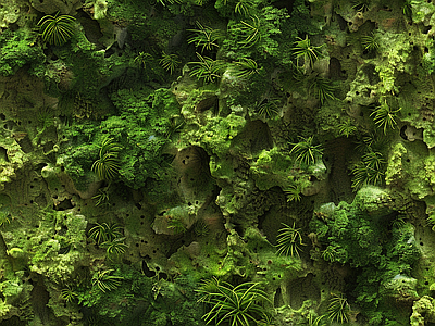 现代自然地面 苔藓 自然 绿色植物 墙地面苔藓 湿润环境