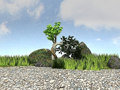 现代景观植物