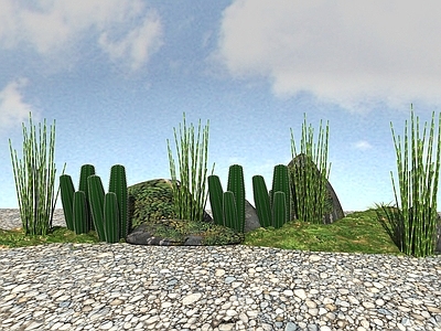 现代景观植物