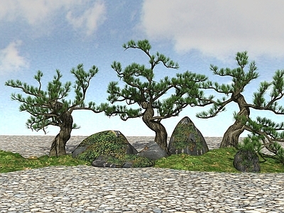 现代景观树