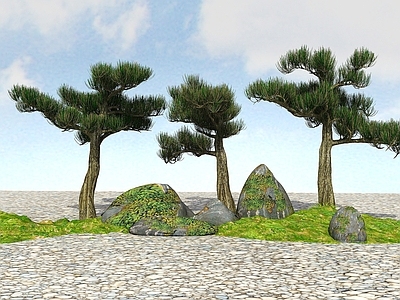 现代景观树