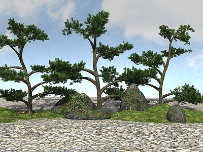 现代景观树