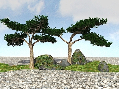 景观树